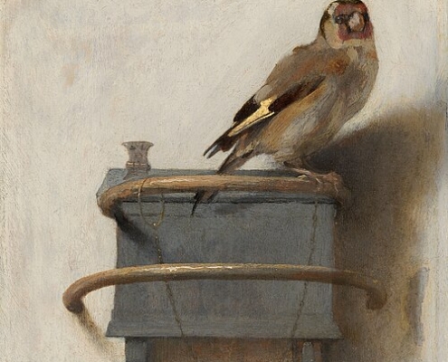 Carel Fabritius - Distelfink, 1654